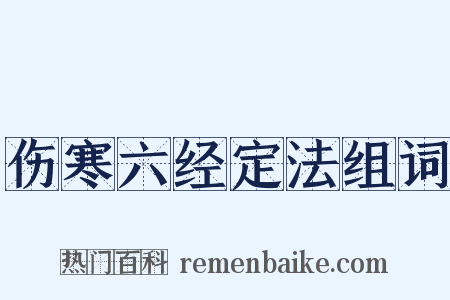 伤寒六经定法组词是什么意思的图片